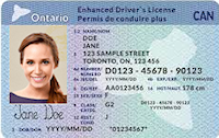 eID Drivers License Sample